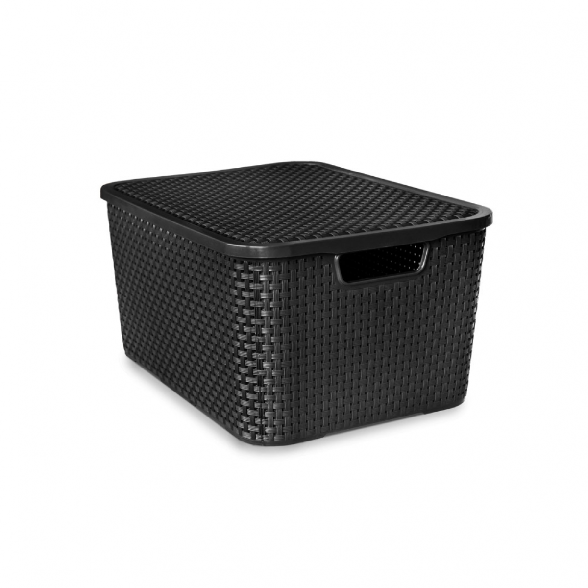 Detalhes do produto Organizador c/ Tampa 40 L