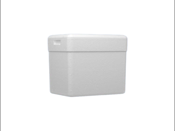 Detalhes do produto Caixa Térmica   18 L 