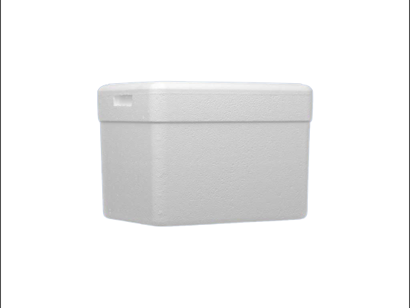 Detalhes do produto Caixa Térmica   21 L 